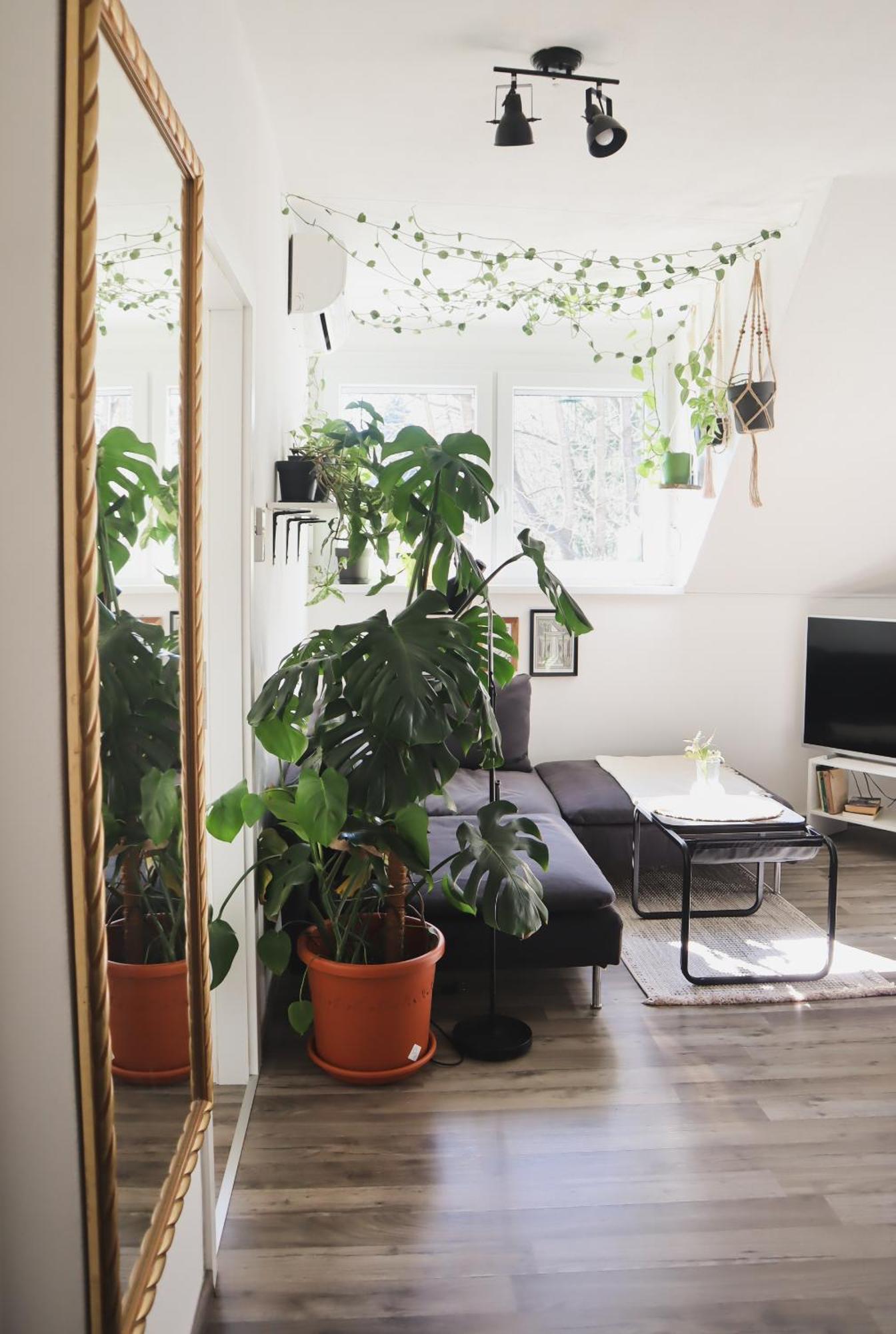 Urban Jungle Apartment - Free Parking Liubliana Exterior foto